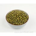 Mung Bean Without Skin